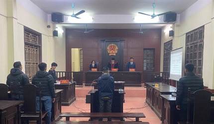 Viện KSND các huyện Sóc Sơn và Thanh Trì tăng cường ứng dụng công nghệ...